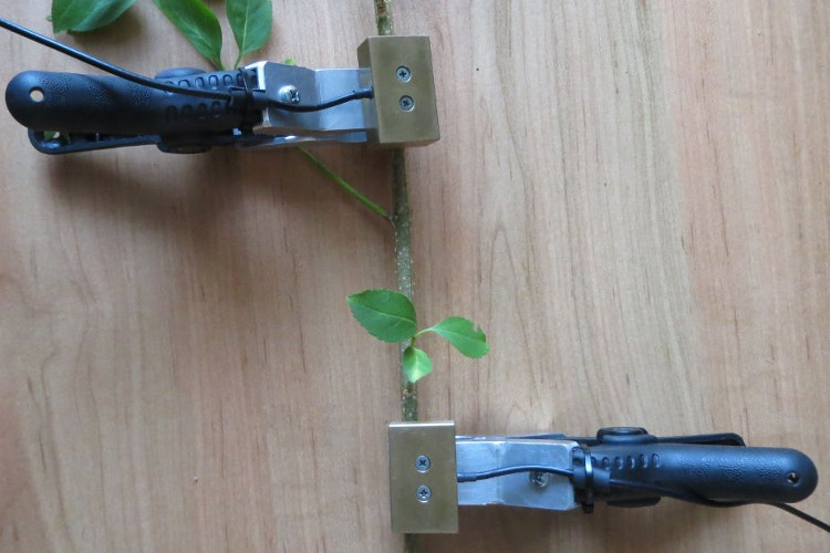 suncitygroup太阳集团--官方网站