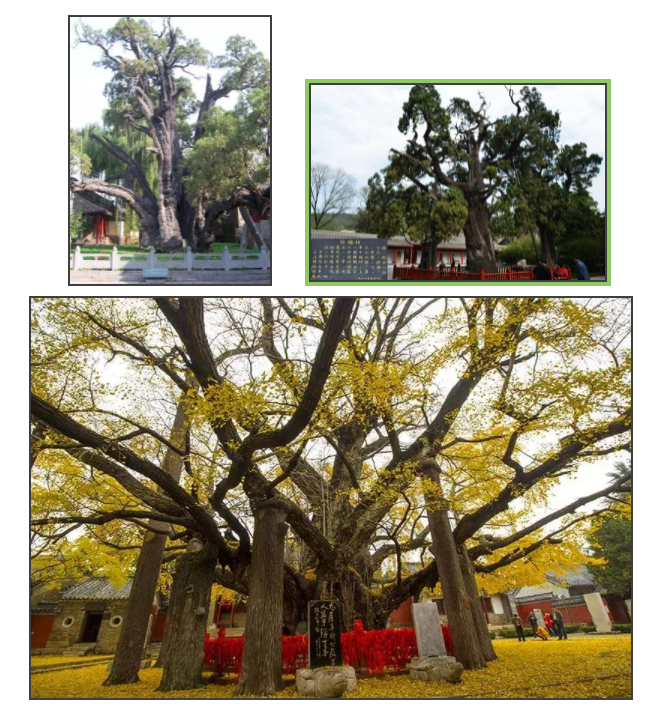 suncitygroup太阳集团--官方网站